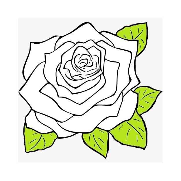 White Rose logo